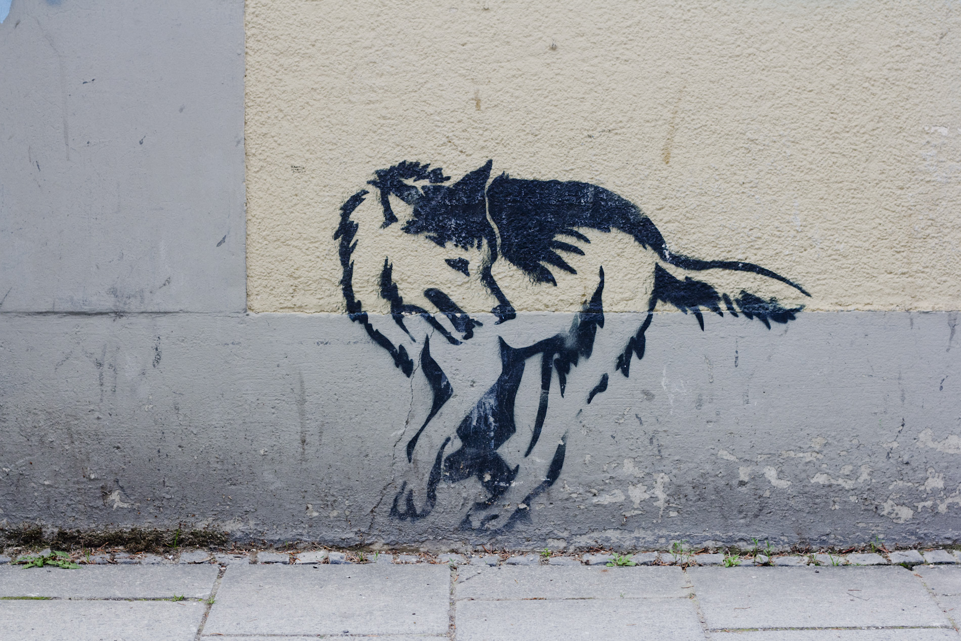 Волк граффити